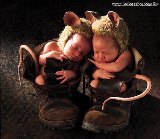 EL PLAGIO Y LOS DERECHOS DE AUTOR